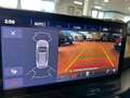 CUPRA Formentor 2.0 TDI 4Drive DSG 7000 KM Grigio - thumbnail 12