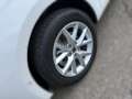 SEAT Leon Style Edition 1.5 TSI 10 Jahre Garantie Weiß - thumbnail 5