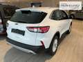 Ford Kuga Titanium Navi Rückfahrkam. Klimaautom PDCv+h Weiß - thumbnail 4
