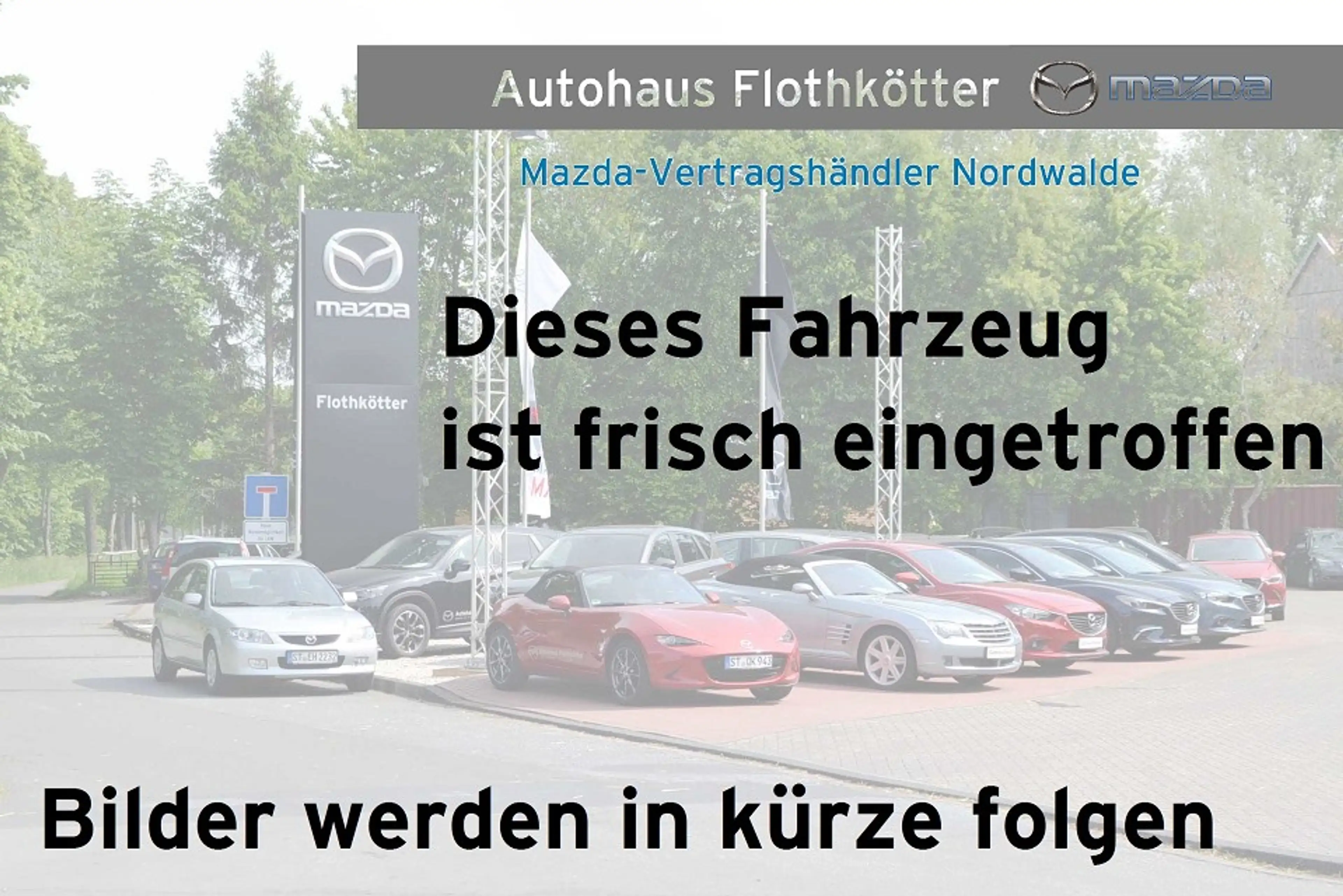 Mazda MX-30 35,5 kWh e-SKYACTIV 145 PS