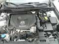 Mazda CX-3 CX-3 1.5d Evolve 2wd 105cv Bianco - thumbnail 14