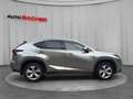 Lexus NX 300h Executive Hybrid Aut. Silber - thumbnail 6