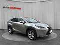 Lexus NX 300h Executive Hybrid Aut. Silber - thumbnail 7