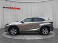 Lexus NX 300h Executive Hybrid Aut. Silber - thumbnail 2