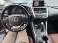 Lexus NX 300h Executive Hybrid Aut. Silber - thumbnail 10