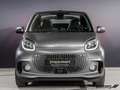 smart forTwo ForTwo Cabrio EQ Prime LED/22 kW/Kamera/JBL/DAB/ Gris - thumbnail 5
