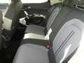 SEAT Leon Style Edition 1.5 TSI 115 PS Grau - thumbnail 10