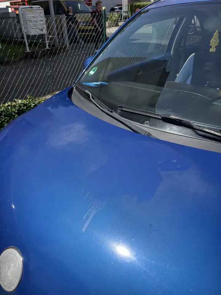 Volkswagen Beetle En Vogue 1.6, foto 10
