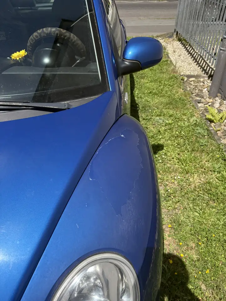 Volkswagen Beetle En Vogue 1.6, foto 11