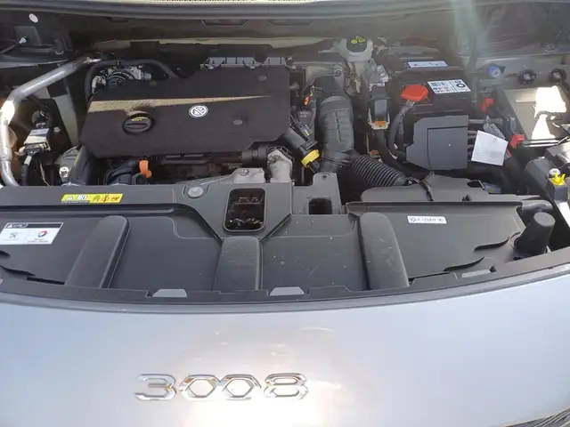 Peugeot 3008 view 5