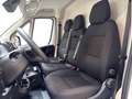 Toyota Proace Max Proace Max 33 2.2d 120cv L2H2 Business! IVA ESPOSTA Weiß - thumbnail 11