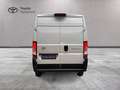 Toyota Proace Max Proace Max 33 2.2d 120cv L2H2 Business! IVA ESPOSTA Weiß - thumbnail 6