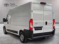 Toyota Proace Max Proace Max 33 2.2d 120cv L2H2 Business! IVA ESPOSTA Weiß - thumbnail 5