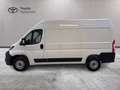 Toyota Proace Max Proace Max 33 2.2d 120cv L2H2 Business! IVA ESPOSTA Weiß - thumbnail 3
