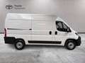Toyota Proace Max Proace Max 33 2.2d 120cv L2H2 Business! IVA ESPOSTA Weiß - thumbnail 4