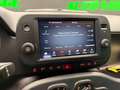 Fiat Panda Cross 1.0 firefly hybrid Cross PREZZO REALE Rouge - thumbnail 13
