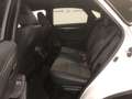 Lexus NX 300 Hybrid 4WD F-Sport Білий - thumbnail 7