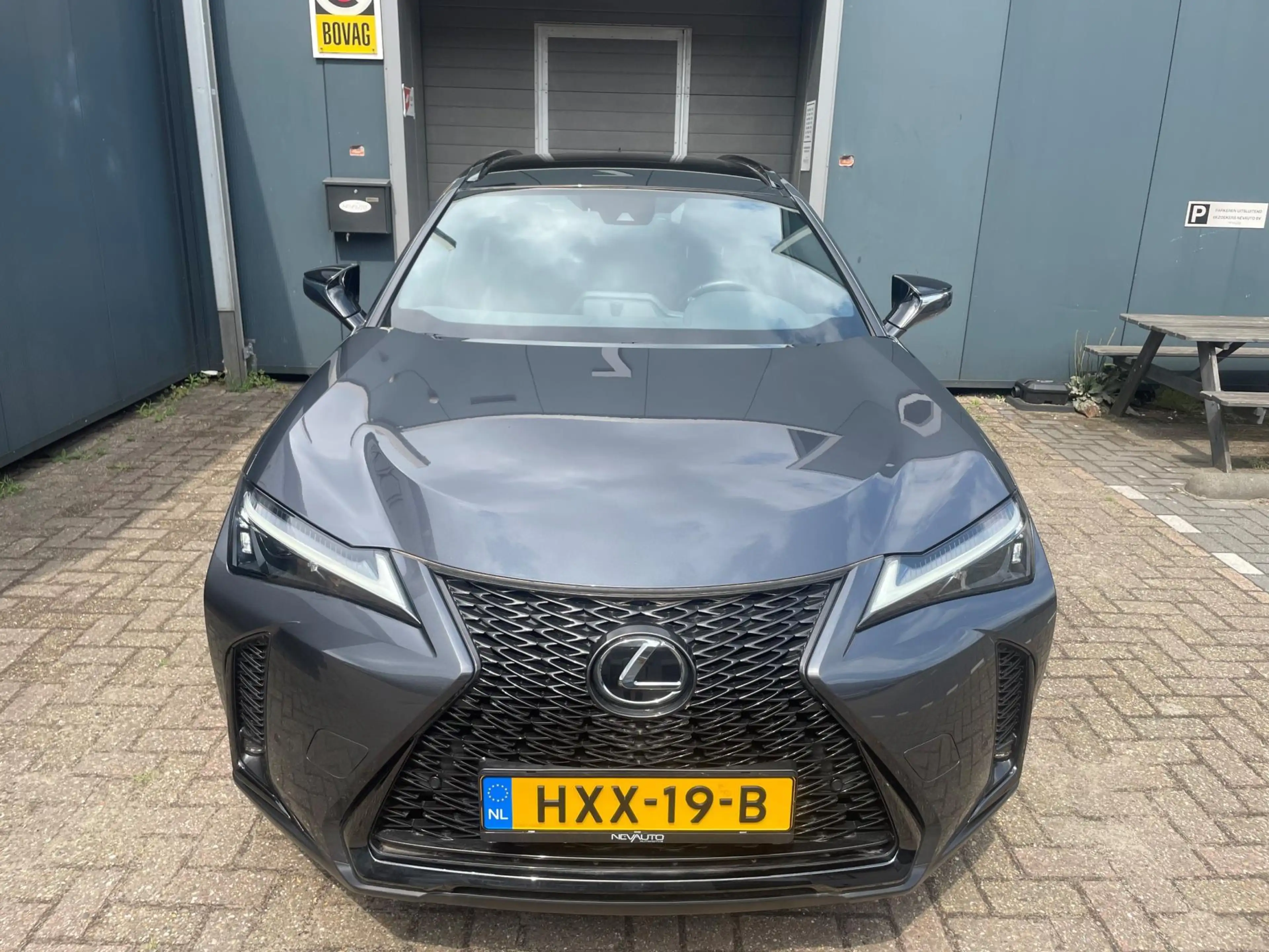 Lexus UX 250h F SPORT Design STOELVERWARMING LEDER — photo 4