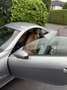 Mercedes-Benz SLK 200 SLK 200 Kompressor R171 - TÜV 07/2027 - AIRSCARF Gris - thumbnail 8