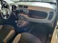 Fiat Panda 1.0 firefly hybrid 70CV Wit - thumbnail 13
