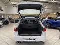 SEAT Exeo Exeo ST 1.6 Reference*TPM*BT*SHZ*LMF*MFL*TOUCH Weiß - thumbnail 5