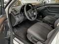 SEAT Exeo Exeo ST 1.6 Reference*TPM*BT*SHZ*LMF*MFL*TOUCH Weiß - thumbnail 11