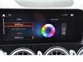 Mercedes-Benz EQB 250 Progressive Advanced (Spur Park DAB Shzg Noir - thumbnail 11