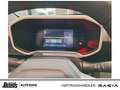 Dacia Spring Electric 65 Extreme - CCS-Ladeanschluss Grün - thumbnail 11