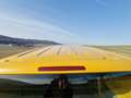 Volkswagen T5 Transporter Gelb - thumbnail 16