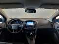 Ford Focus 1.5 TDCi 120 CV S&S Powershift SW Business AUTOCA Blu/Azzurro - thumbnail 11
