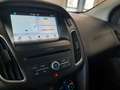 Ford Focus 1.5 TDCi 120 CV S&S Powershift SW Business AUTOCA Blu/Azzurro - thumbnail 10