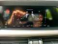 Alfa Romeo Stelvio 2.2 T.d. 160CV AT8 RWD Sprint Grigio - thumbnail 15