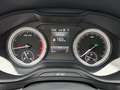 Skoda Karoq 1.5 TSI DSG AMBITION+LED+AMUNDSEN+VARIOFLEX Weiß - thumbnail 19