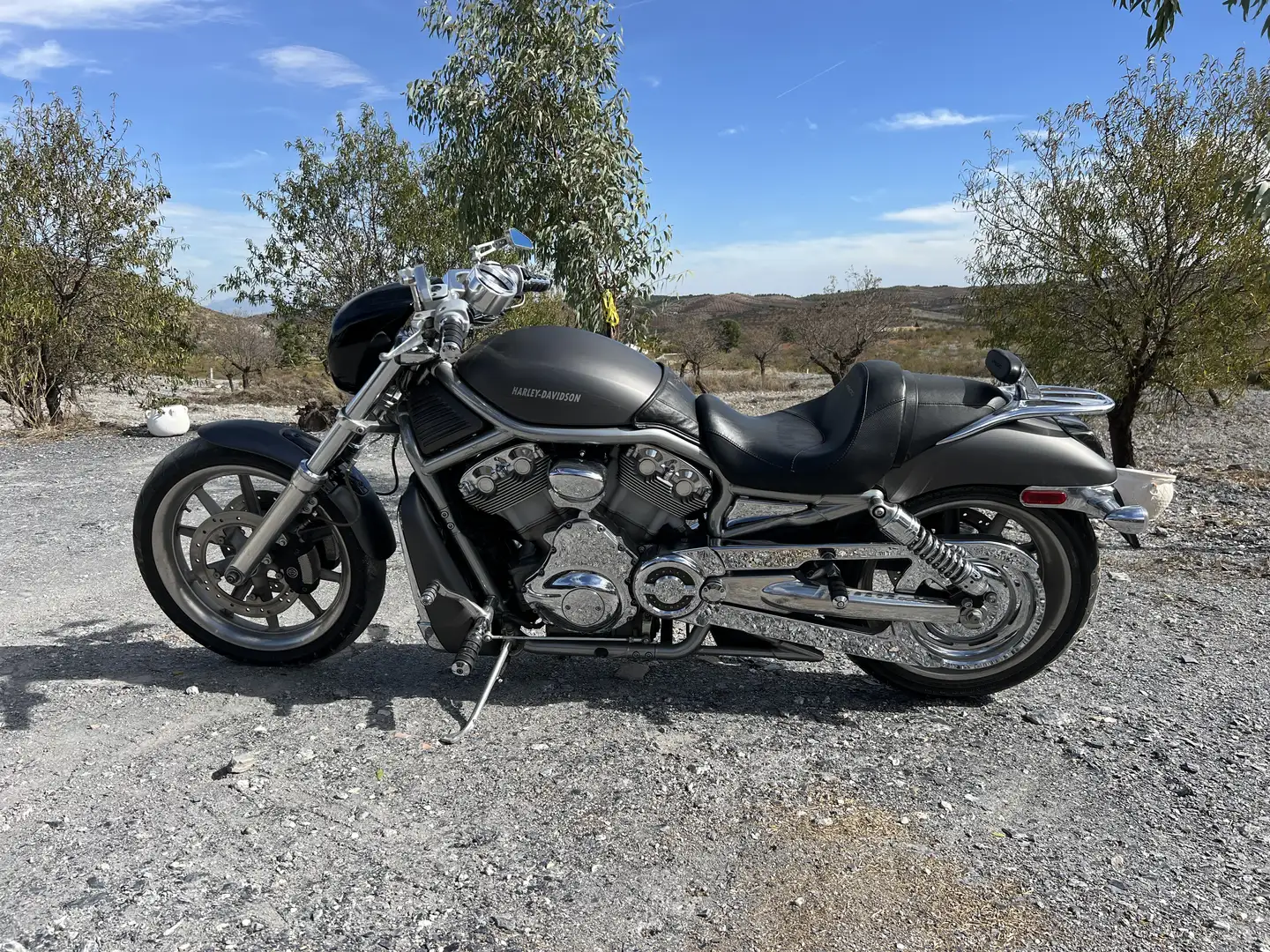 Harley-Davidson V-Rod VRSCA Grijs - 1