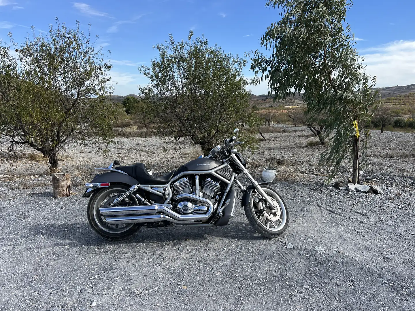Harley-Davidson V-Rod VRSCA Grijs - 2