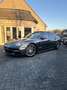 Porsche Panamera Panamera 4 E-Hybrid Executive Gris - thumbnail 1