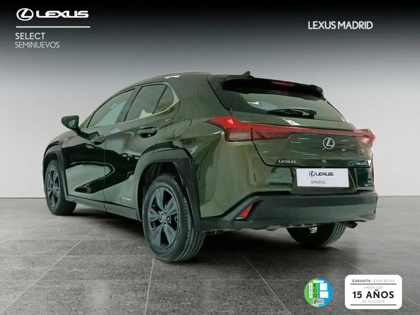 Lexus UX 250h 2.0 Business Grün - 2