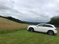 Mercedes-Benz GLC 250 GLC 250 d 4Matic 9G-TRONIC Edition 1 Weiß - thumbnail 11