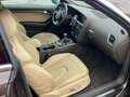 Audi A5 Cabriolet 2.0 TDI Braun - thumbnail 16