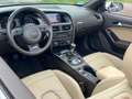 Audi A5 Cabriolet 2.0 TDI Braun - thumbnail 15