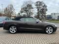 Audi A5 Cabriolet 2.0 TDI Braun - thumbnail 10
