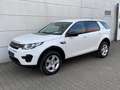 Land Rover Discovery Sport Sport 2.0 eD4  Pure Nav Shz EU6 Weiß - thumbnail 2