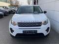 Land Rover Discovery Sport Sport 2.0 eD4  Pure Nav Shz EU6 Weiß - thumbnail 6