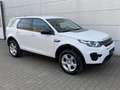 Land Rover Discovery Sport Sport 2.0 eD4  Pure Nav Shz EU6 Weiß - thumbnail 7
