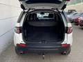 Land Rover Discovery Sport Sport 2.0 eD4  Pure Nav Shz EU6 Weiß - thumbnail 10