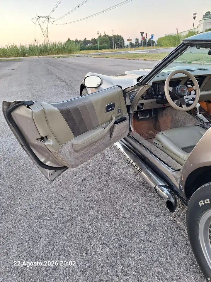 Corvette C3 Collector Edition, foto 11