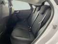 Ford Puma 1.0 EcoBoost 125cv Titanium MHEV TITANIUM Blanco - thumbnail 16