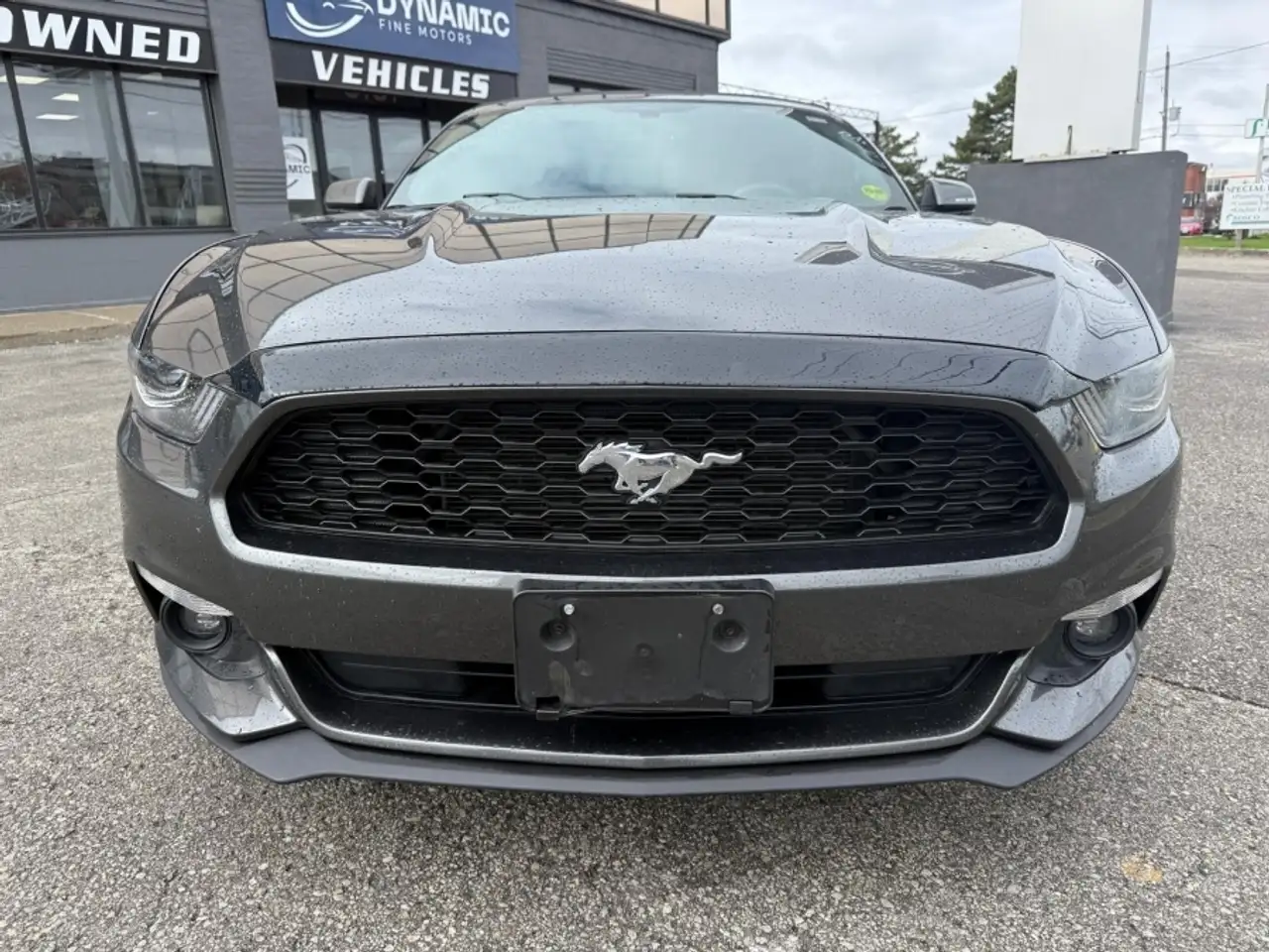 Ford Mustang снимка Ford Mustang