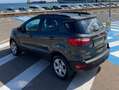 Ford EcoSport EcoSport 1.0 ecoboost Plus 100cv my19 - thumbnail 9