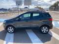 Ford EcoSport EcoSport 1.0 ecoboost Plus 100cv my19 - thumbnail 8